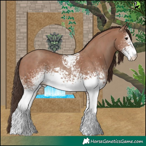 Horse Color:White Spotted Classic Champagne