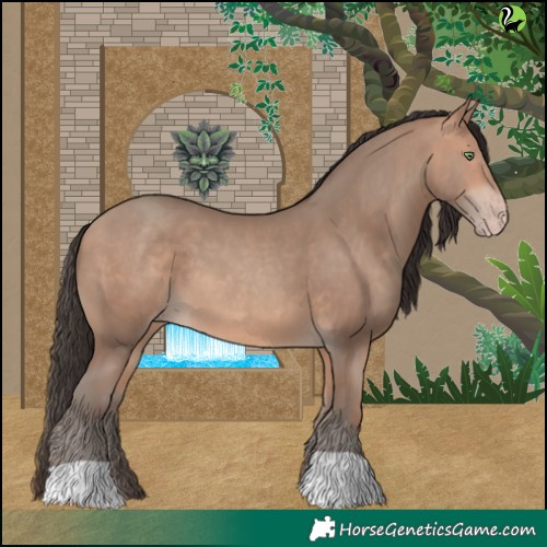 Horse Color:Amber Champagne