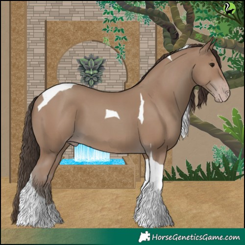 Horse Color:Classic Champagne Tobiano 