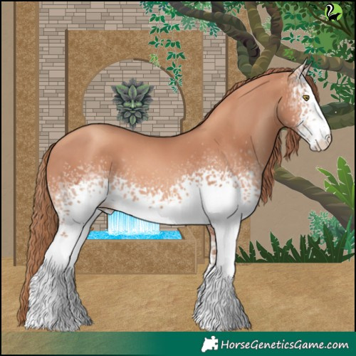 Horse Color:White Spotted Gold Champagne 