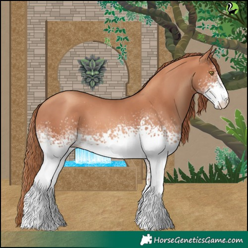 Horse Color:White Spotted Gold Champagne