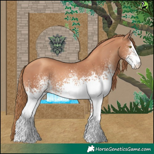 Horse Color:White Spotted Gold Champagne Rabicano 