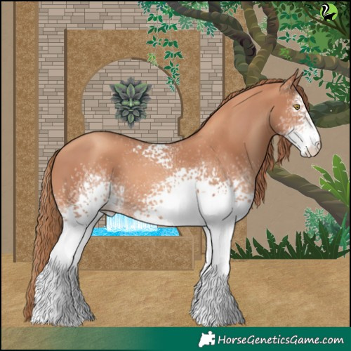 Horse Color:White Spotted Gold Champagne 
