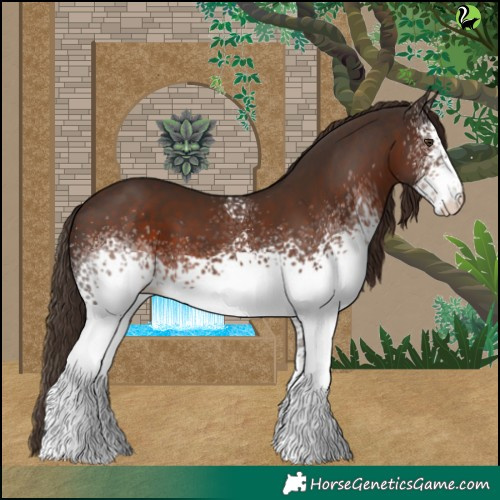 Horse Color:White Spotted Liver Chestnut 
