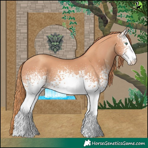 Horse Color:White Spotted Gold Champagne 