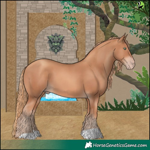 Horse Color:Gold Champagne 