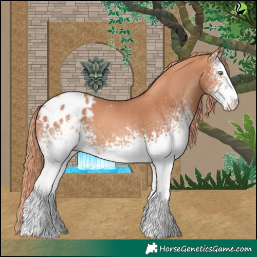 Horse Color:White Spotted Gold Champagne Appaloosa 