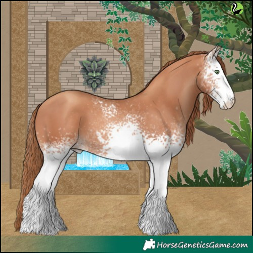Horse Color:White Spotted Gold Champagne 