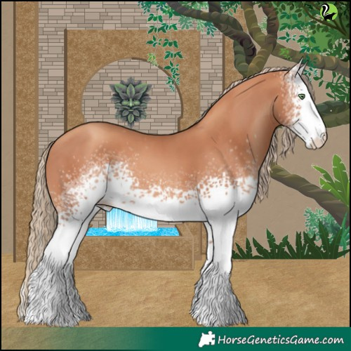 Horse Color:White Spotted Gold Champagne 