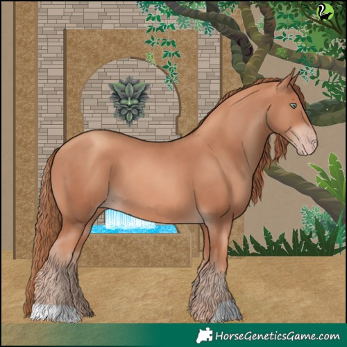 Horse Color:Gold Champagne 