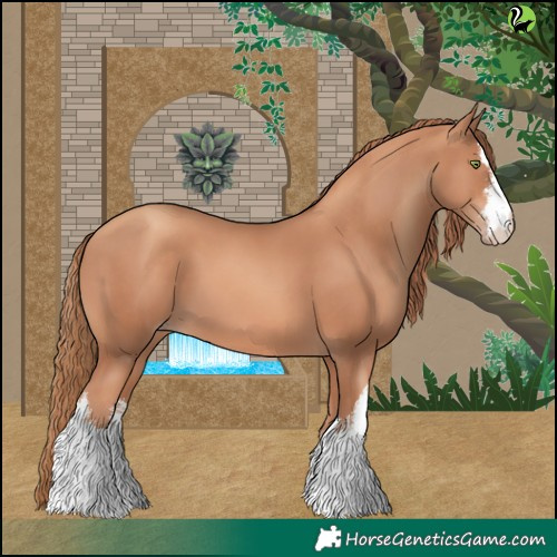 Horse Color:White Spotted Gold Champagne