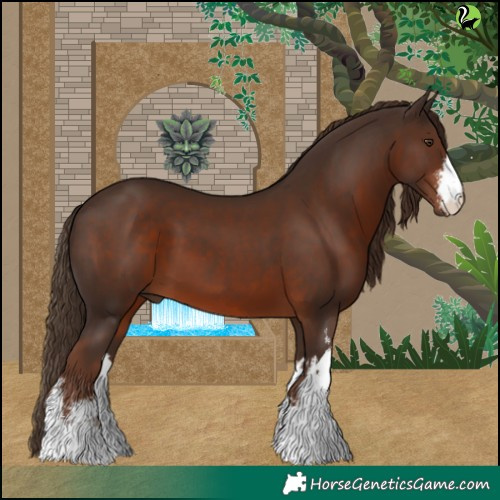 Horse Color:White Spotted Liver Chestnut 