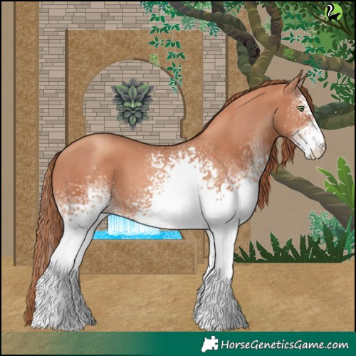 Horse Color:White Spotted Gold Champagne