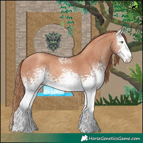 Horse Color:White Spotted Gold Champagne
