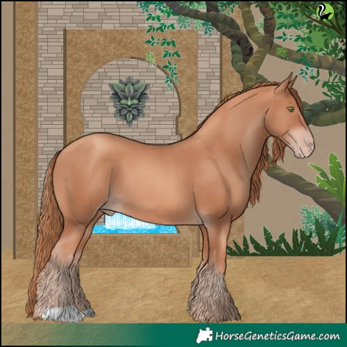 Horse Color:Gold Champagne 