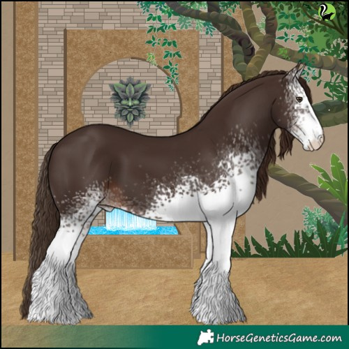 Horse Color:White Spotted Liver Chestnut 