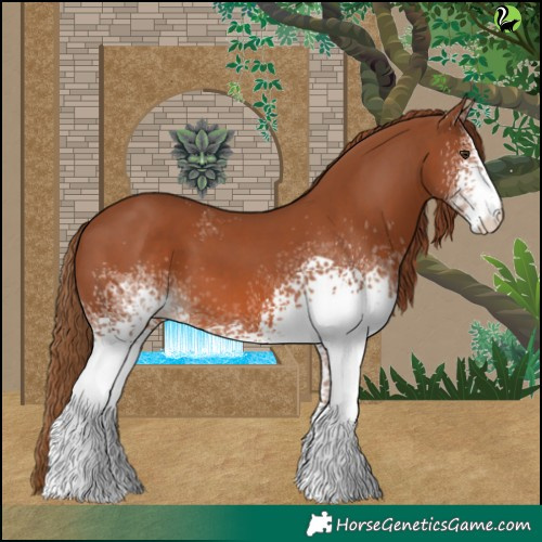 Horse Color:White Spotted Chestnut 