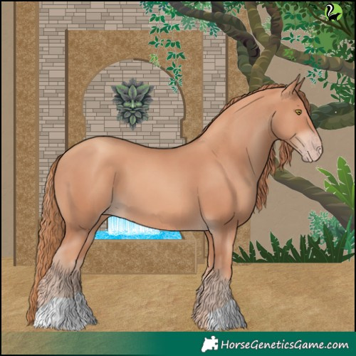 Horse Color:Gold Champagne 