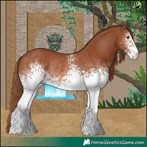 Horse Color:White Spotted Chestnut Rabicano 