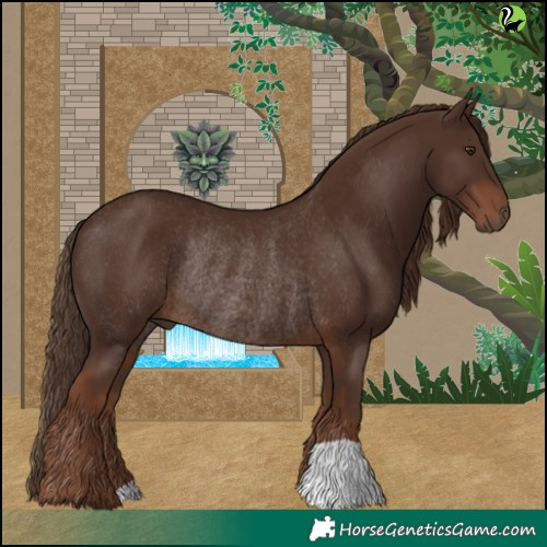 Horse Color:Liver Chestnut Rabicano 