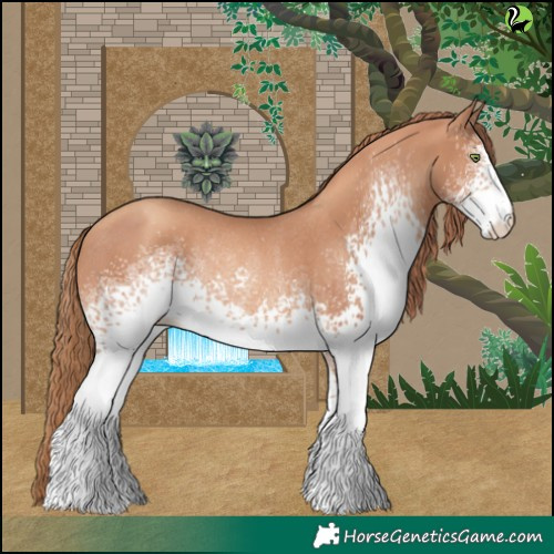 Horse Color:White Spotted Gold Champagne Rabicano