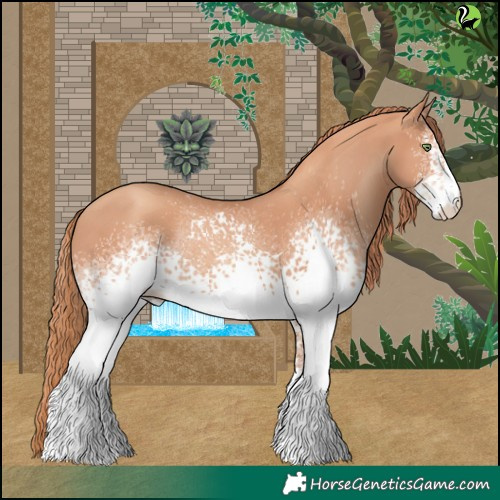 Horse Color:White Spotted Gold Champagne Rabicano