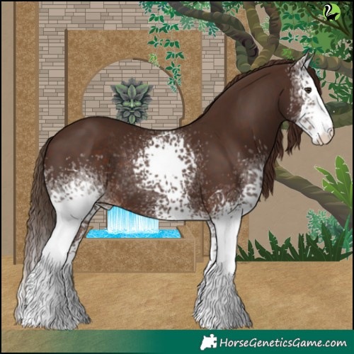 Horse Color:White Spotted Liver Chestnut Rabicano 