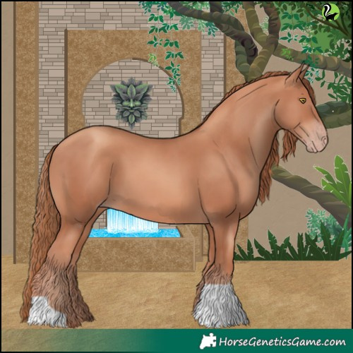 Horse Color:Gold Champagne 