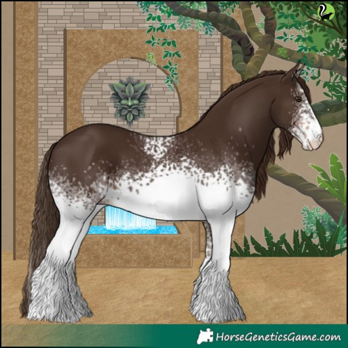 Horse Color:White Spotted Liver Chestnut 