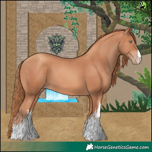 Horse Color:White Spotted Gold Champagne 