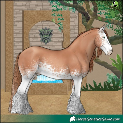 Horse Color:White Spotted Gold Champagne 