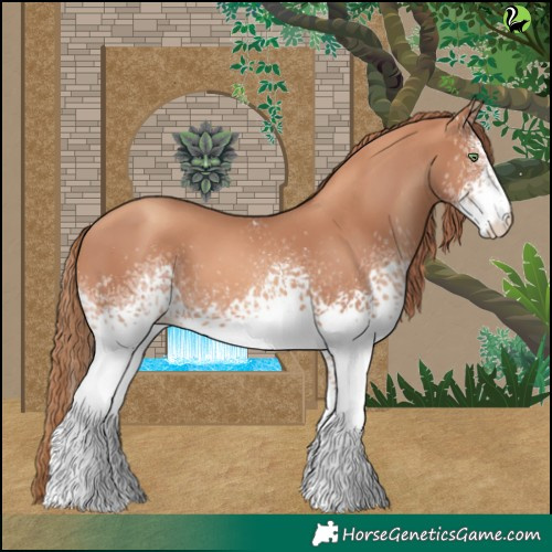 Horse Color:White Spotted Gold Champagne