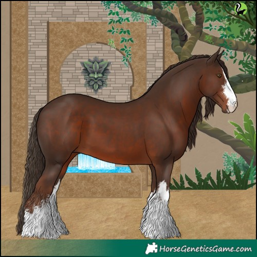 Horse Color:White Spotted Liver Chestnut 