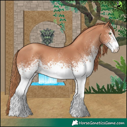 Horse Color:White Spotted Gold Champagne 