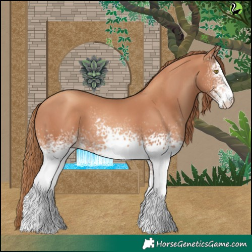 Horse Color:White Spotted Gold Champagne