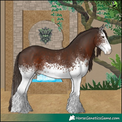 Horse Color:White Spotted Liver Chestnut 