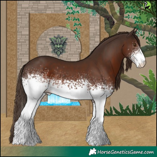 Horse Color:White Spotted Liver Chestnut 
