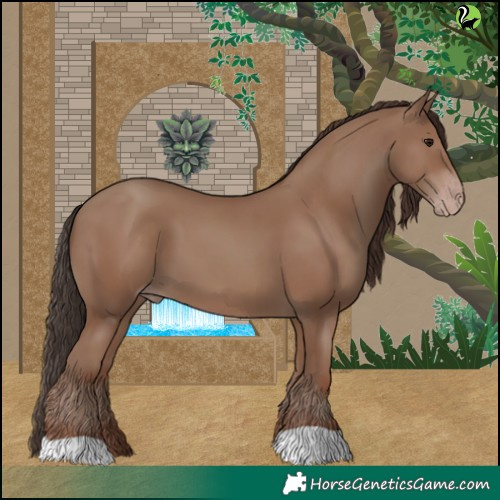 Horse Color:Classic Champagne 