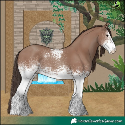Horse Color:White Spotted Classic Champagne 