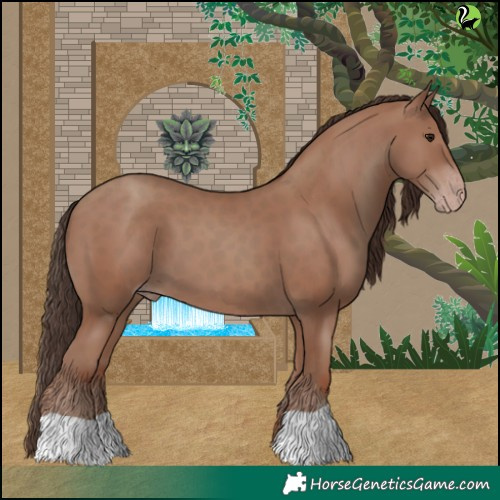 Horse Color:Classic Champagne 