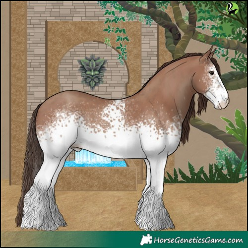 Horse Color:White Spotted Classic Champagne 