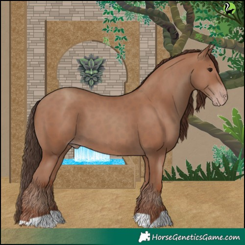 Horse Color:Classic Champagne 