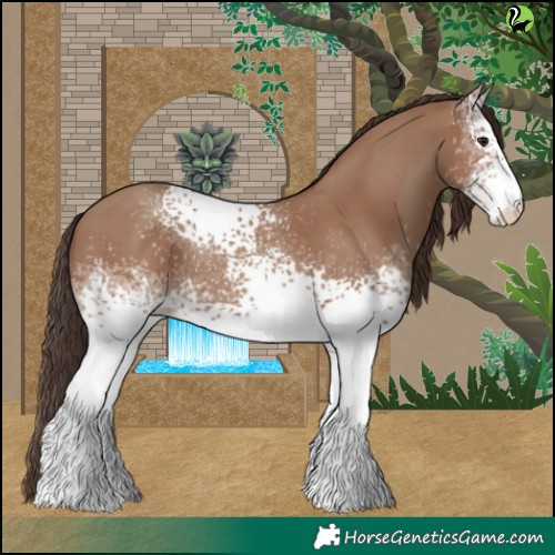 Horse Color:White Spotted Classic Champagne 