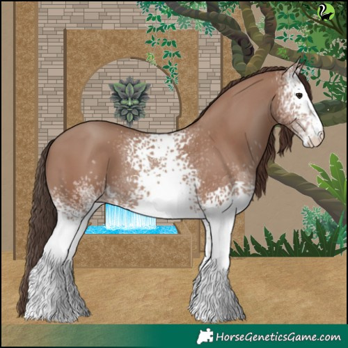 Horse Color:White Spotted Classic Champagne 