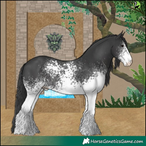 Horse Color:White Spotted Black