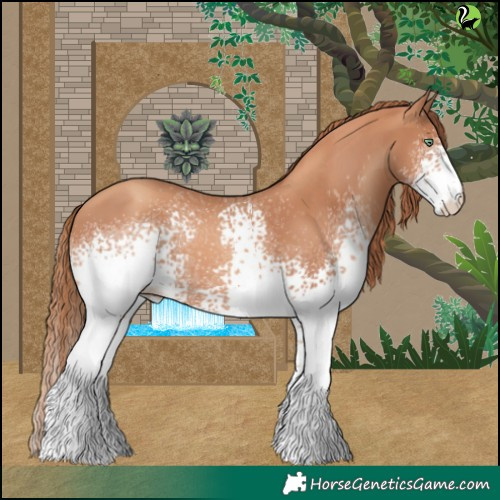 Horse Color:White Spotted Gold Champagne 