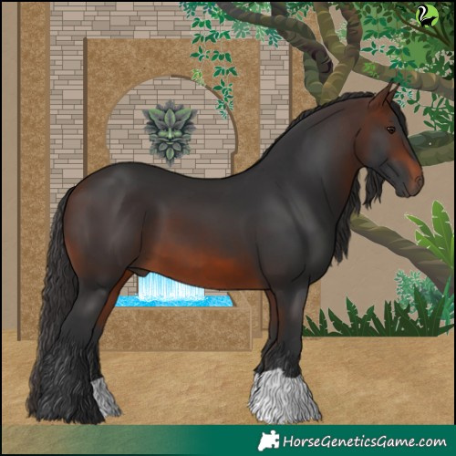 Horse Color:Brown 