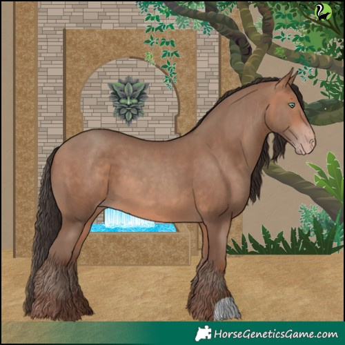 Horse Color:Sable Champagne 