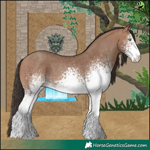 Horse Color:White Spotted Sable Champagne 