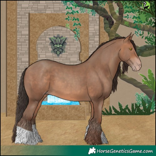 Horse Color:Sable Champagne 